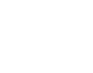 Hamburg City Cycles -  - Site Build