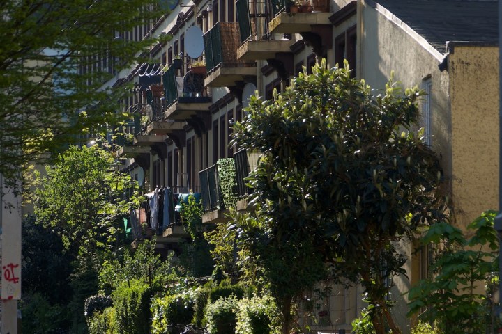 Sunlit residential street with leafy trees and apartment balconies.