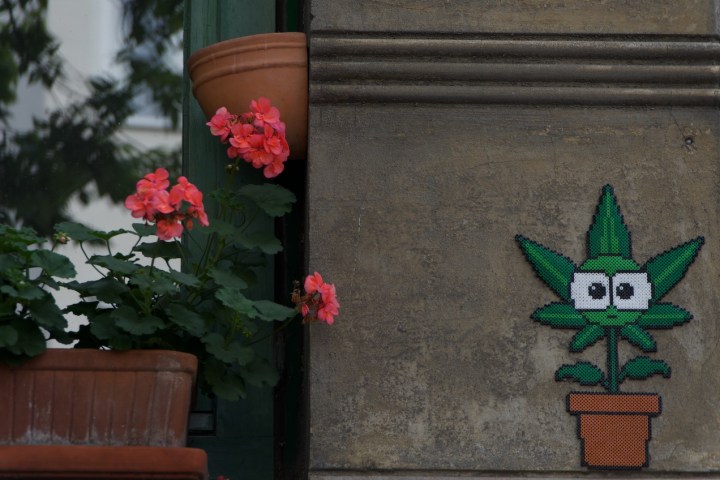 A wall with potted flowers and a pixel art plant with eyes.
